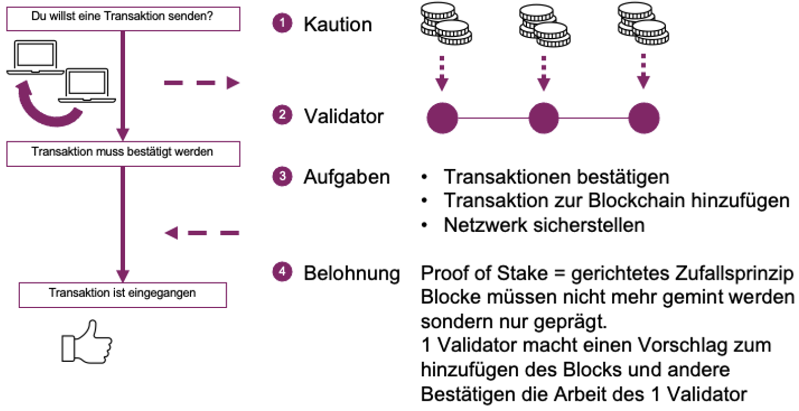 Erklärung - wie funktioniert Staking?